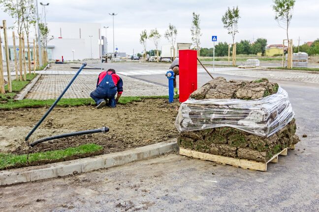 Commercial Sod Installation Companies McMinnville TN