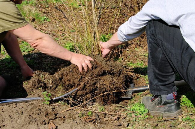 Landscape Services McMinnville TN