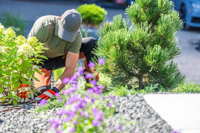 Landscaping Companies McMinnville TN