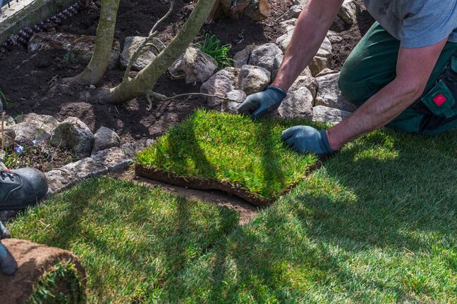 Residential Sod Installation Companies McMinnville TN